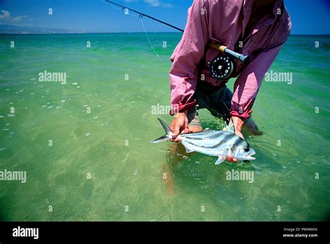 Saltwater Sportfishing (USA) : Take.